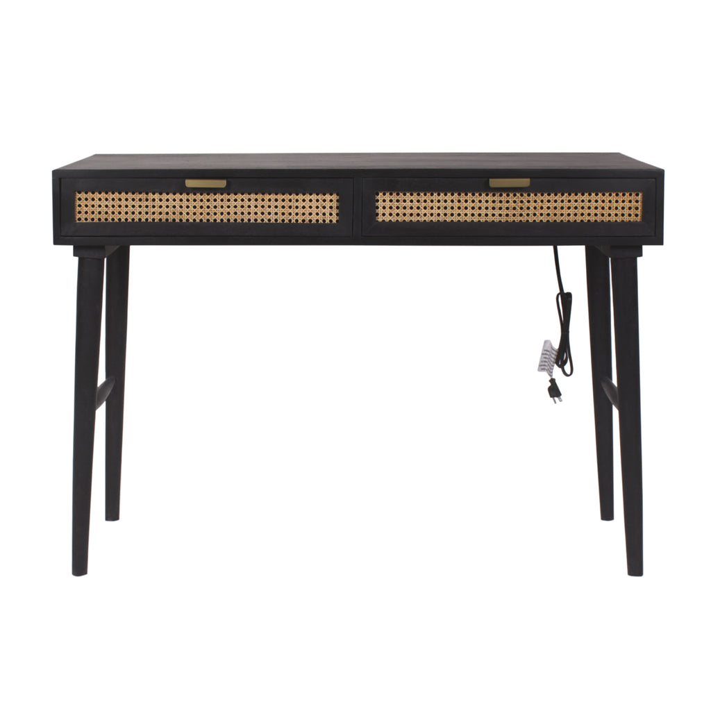Dino Study Table