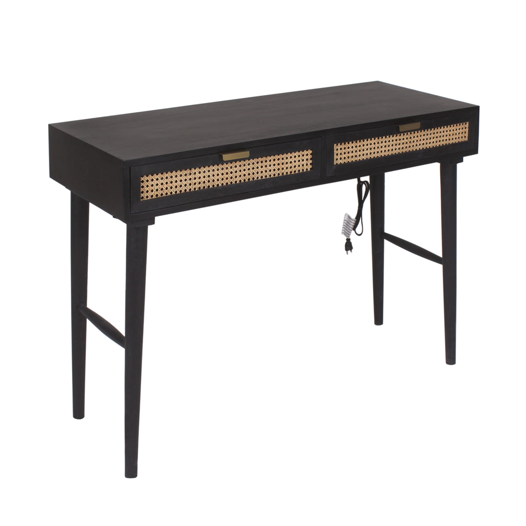 Dino Study Table